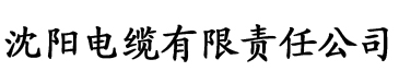 趴在镜子前电缆厂logo